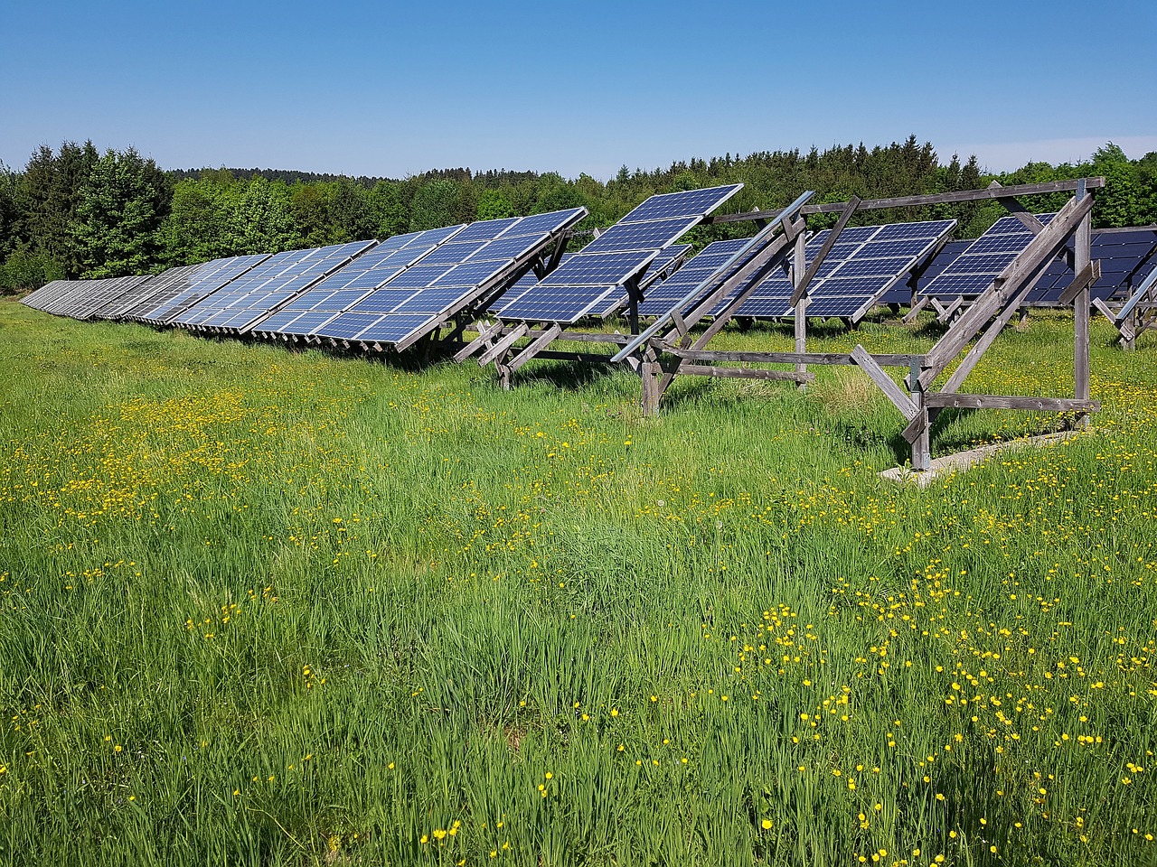 solar field, meadow, energy-3381073.jpg